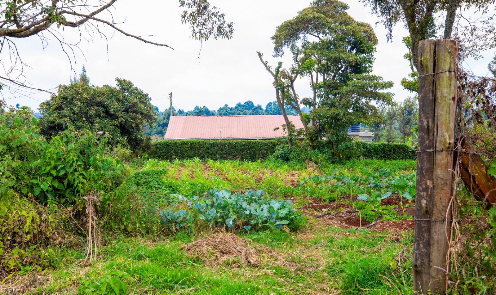 Prime Residential Plot For Sale In Kikuyu 0ndiri
