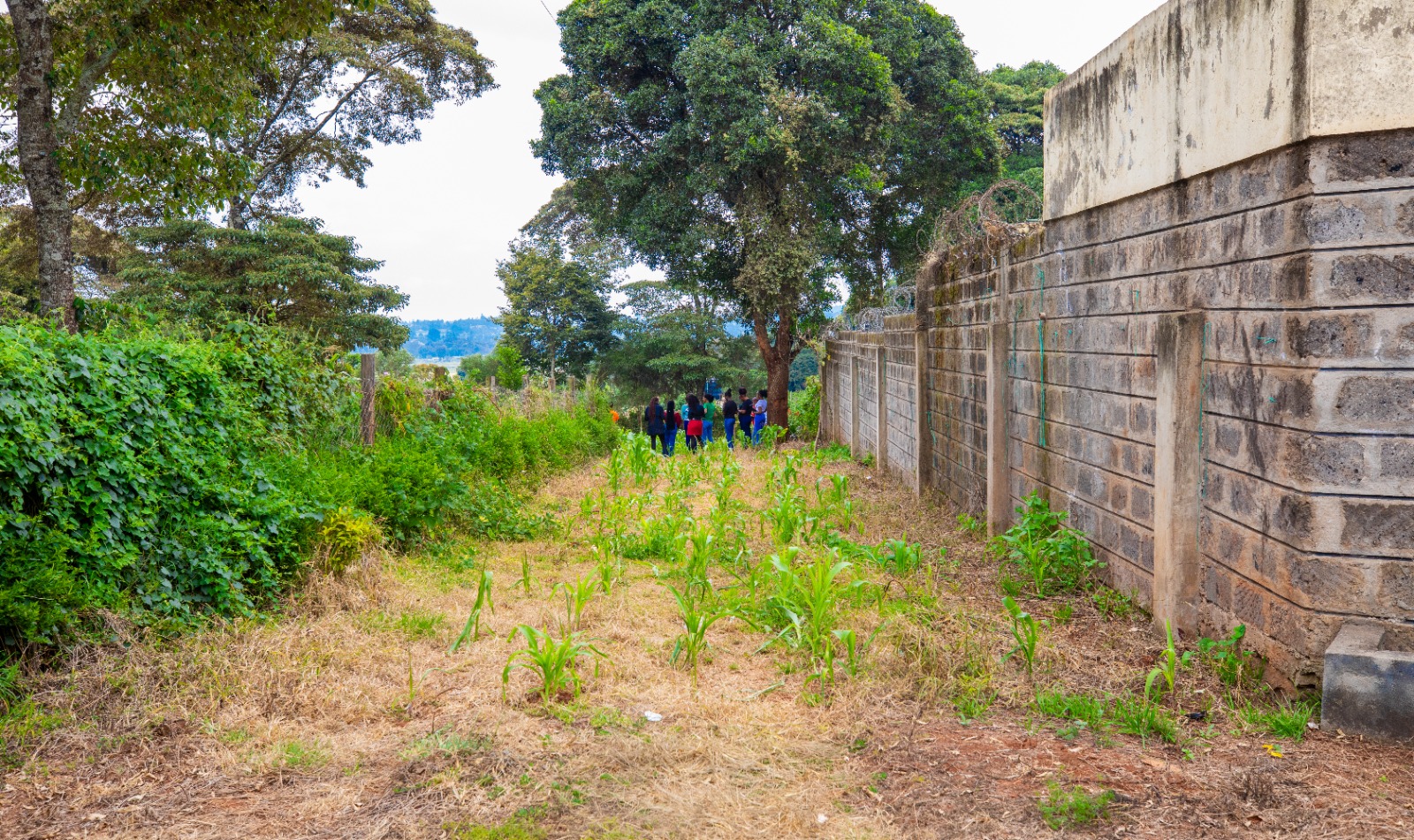 Prime Residential Plot For Sale In Kikuyu 0ndiri