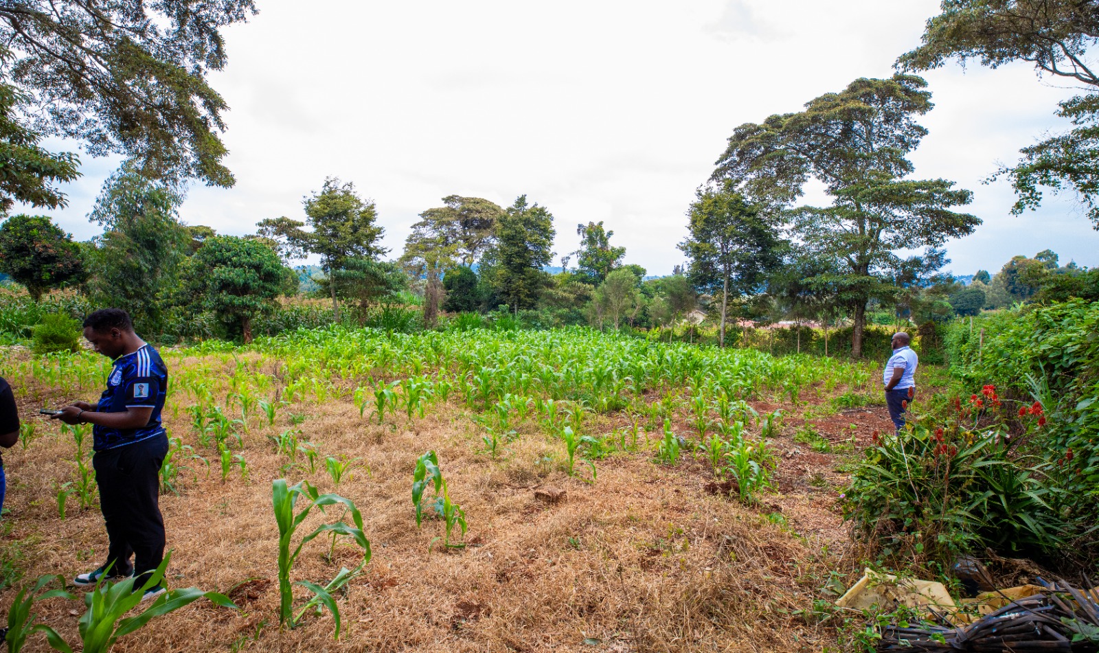 Prime Residential Plot For Sale In Kikuyu 0ndiri