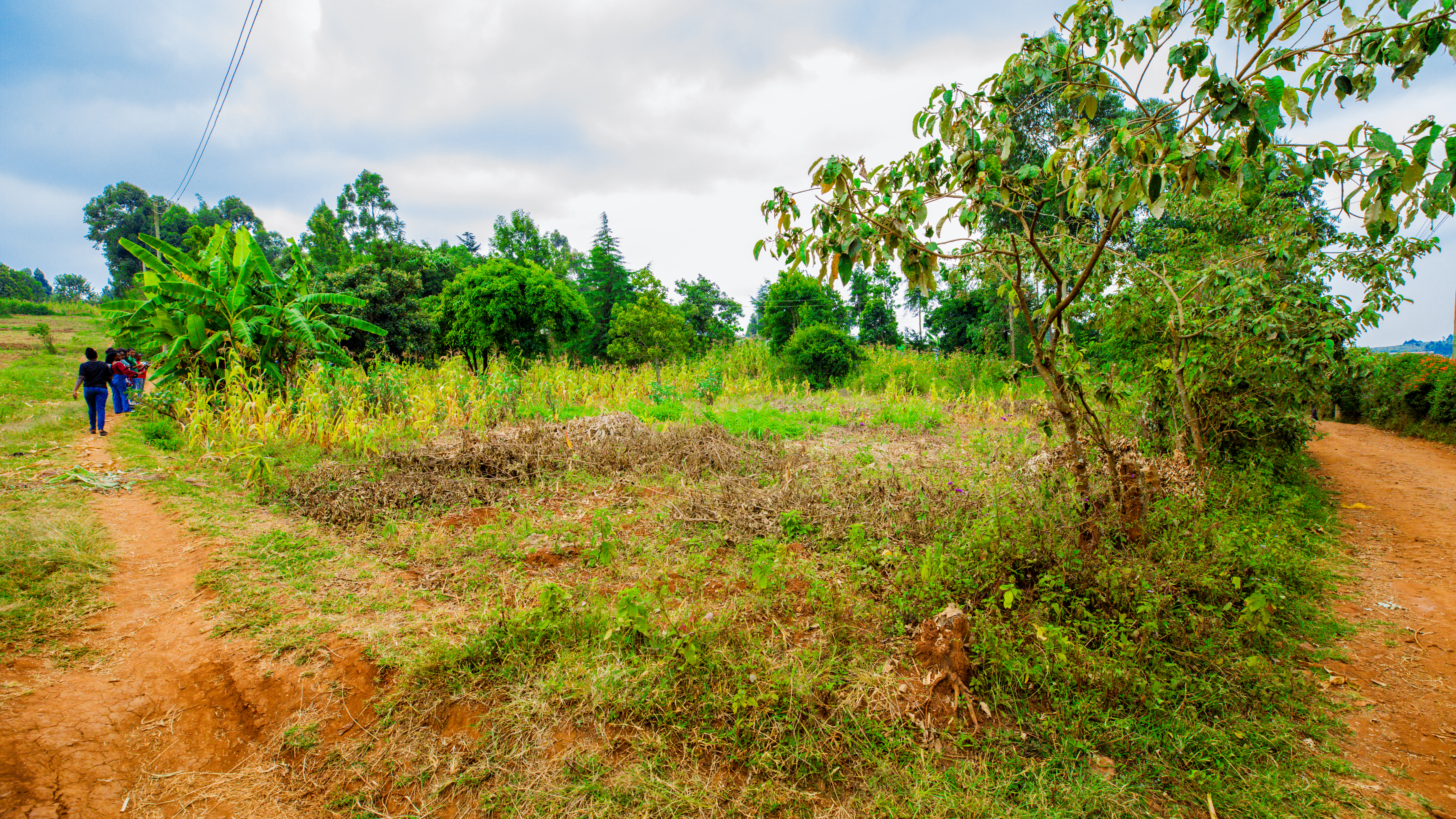 Prime Residential Plot For Sale In Kikuyu Near Kari