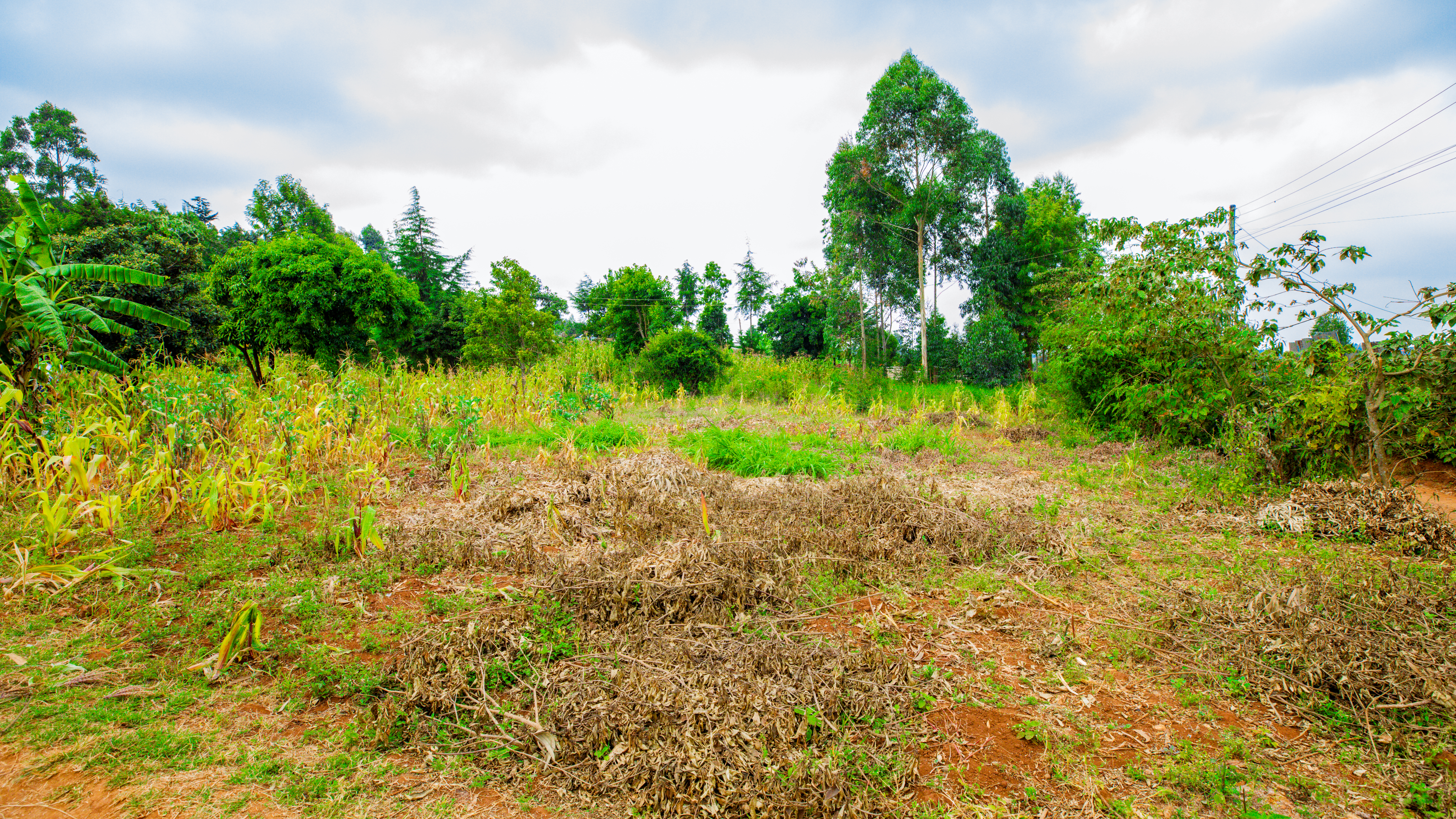 Prime Residential Plot For Sale In Kikuyu Near Kari