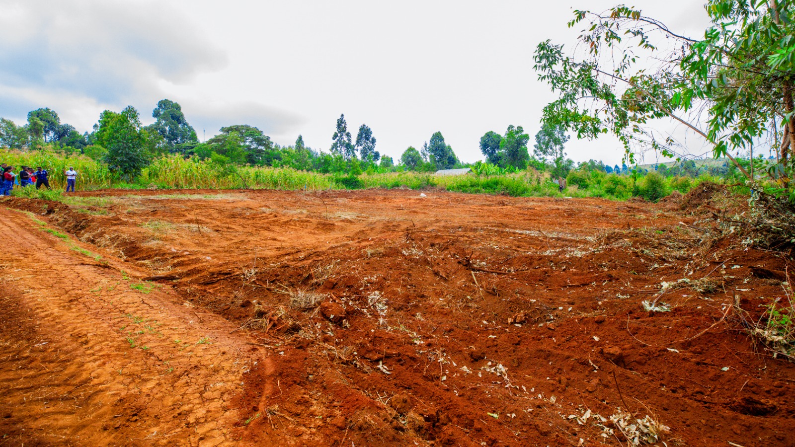 Prime Residential Plots For Sale Kikuyu, Migumoini