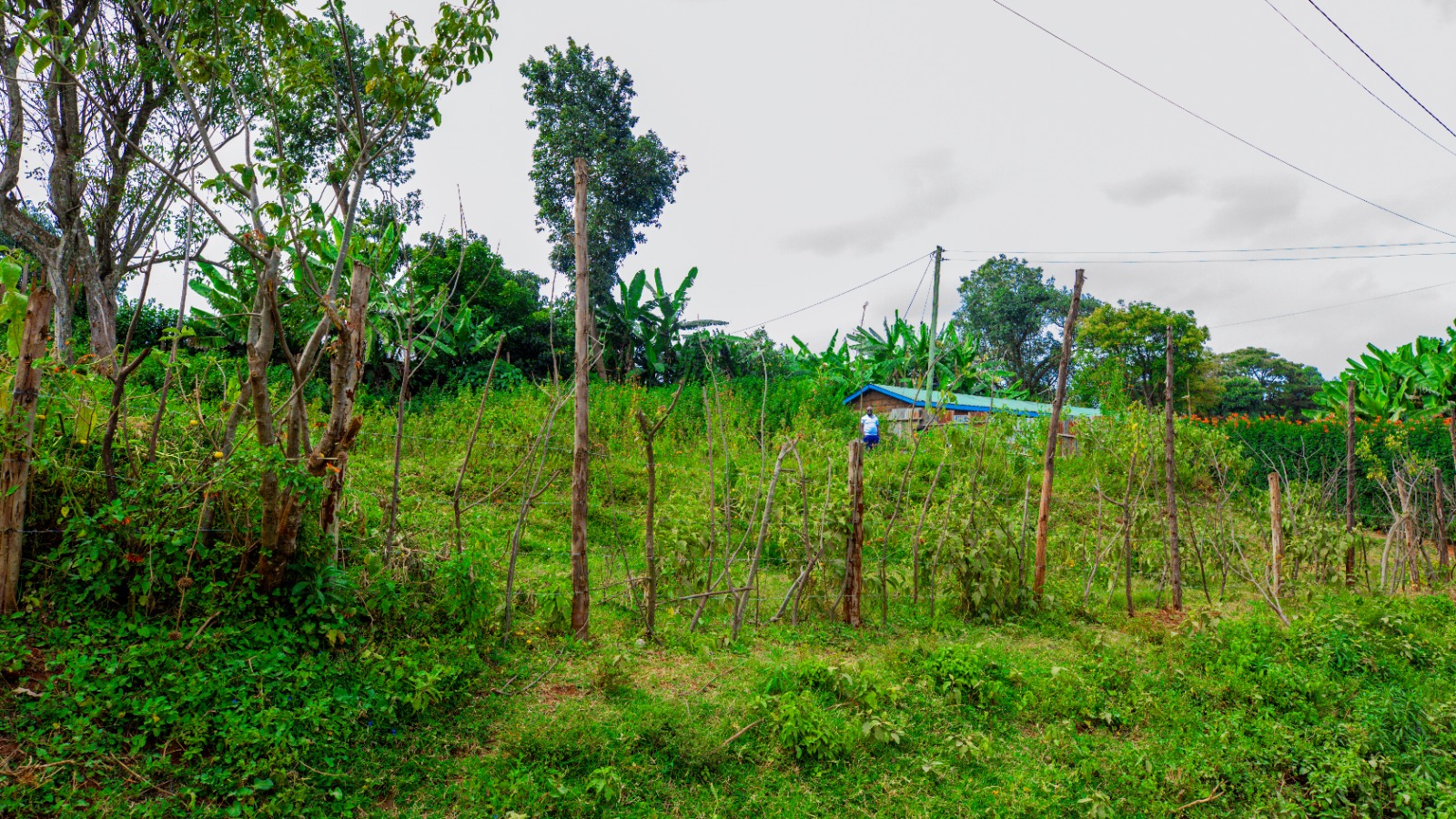 Prime Commercial  Plot For Sale In Kikuyu, Gikambura