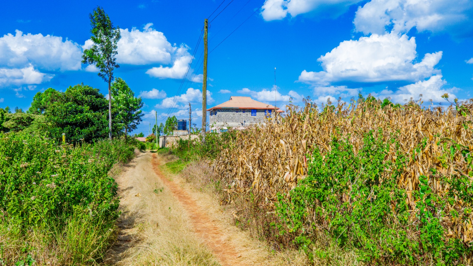 Prime Residential Plot For Sale In Kikuyu ,kamangu [ng'amba]