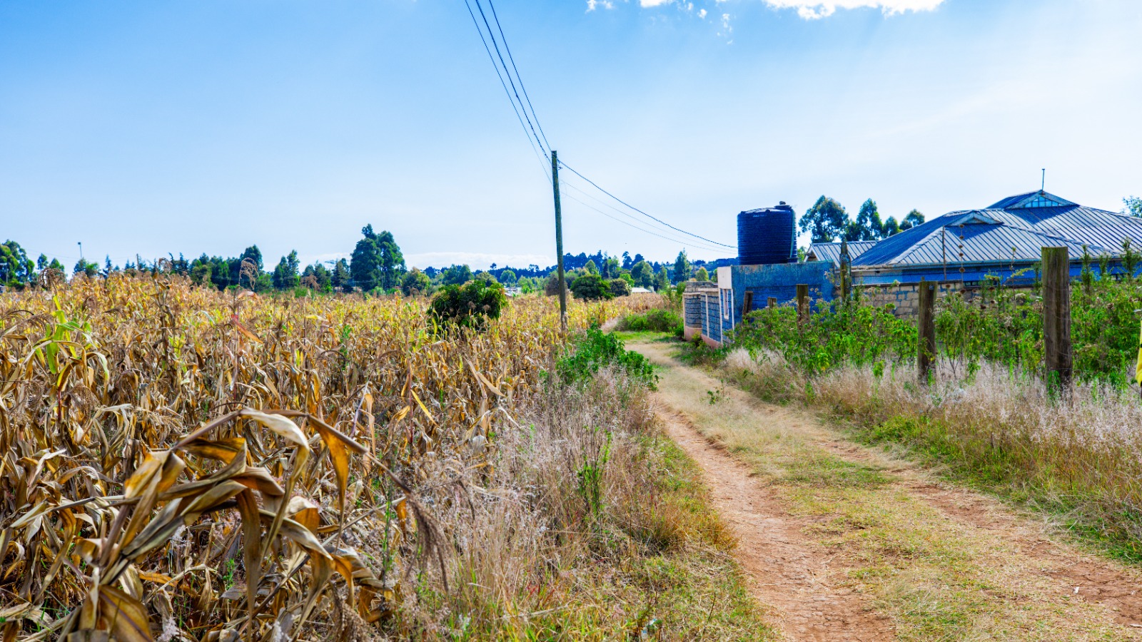 Prime Residential Plot For Sale In Kikuyu ,kamangu [ng'amba]