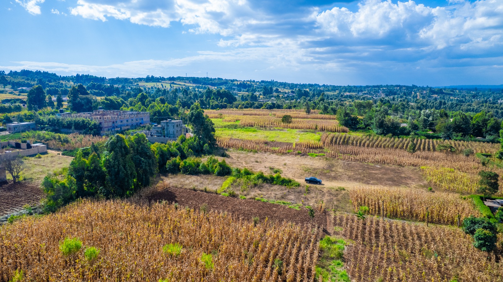 Prime Residential Plot For Sale In Kikuyu,kamangu (ng'amba)