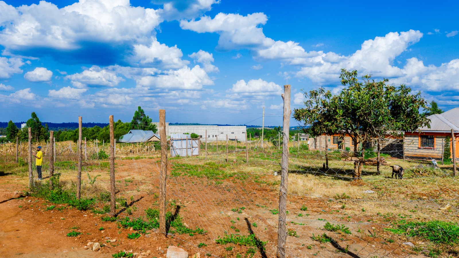 Prime Residential Plot For Sale In Kikuyu, Thigio