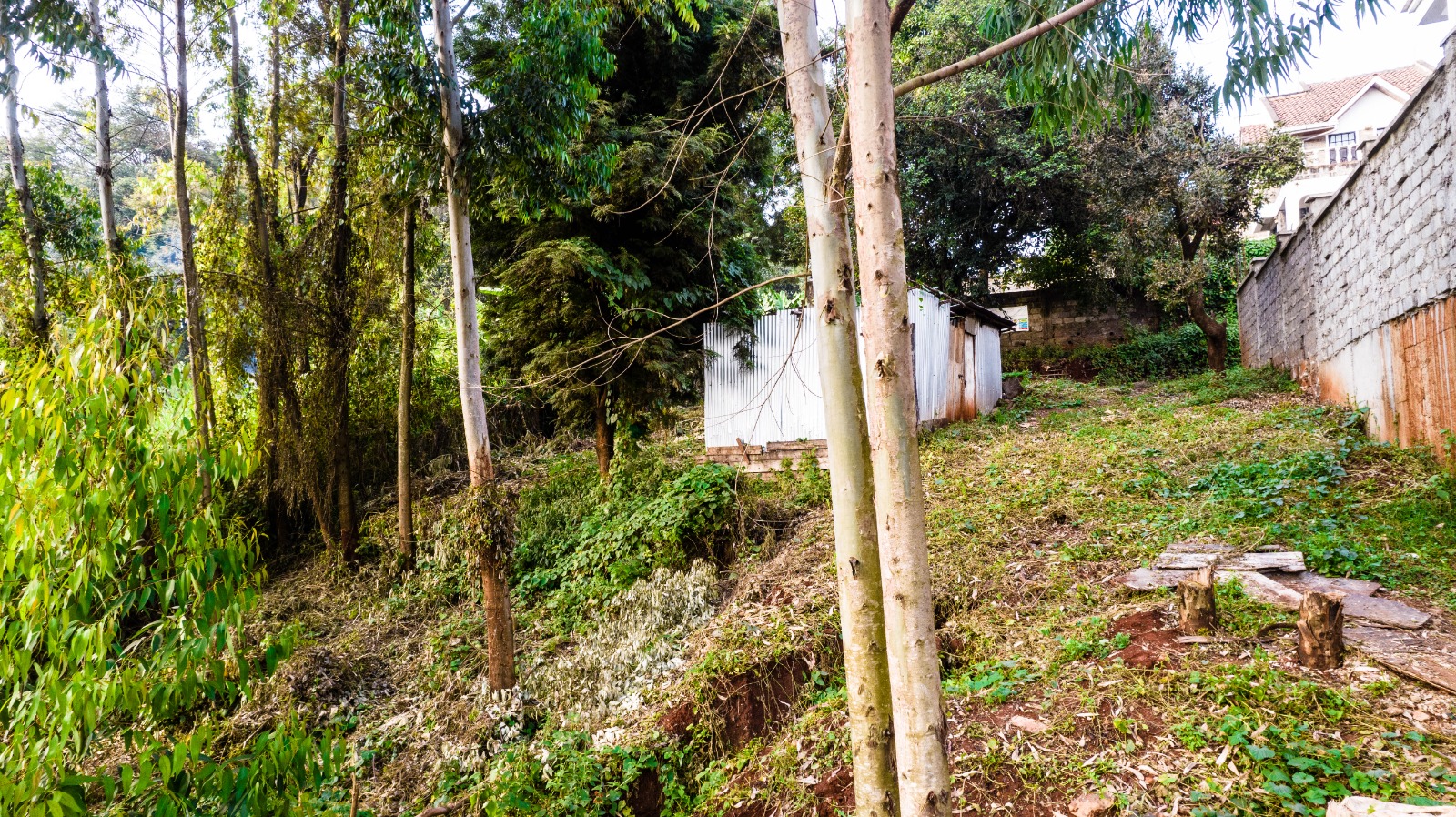 High-potential Plot For Sale In Kikuyu Town