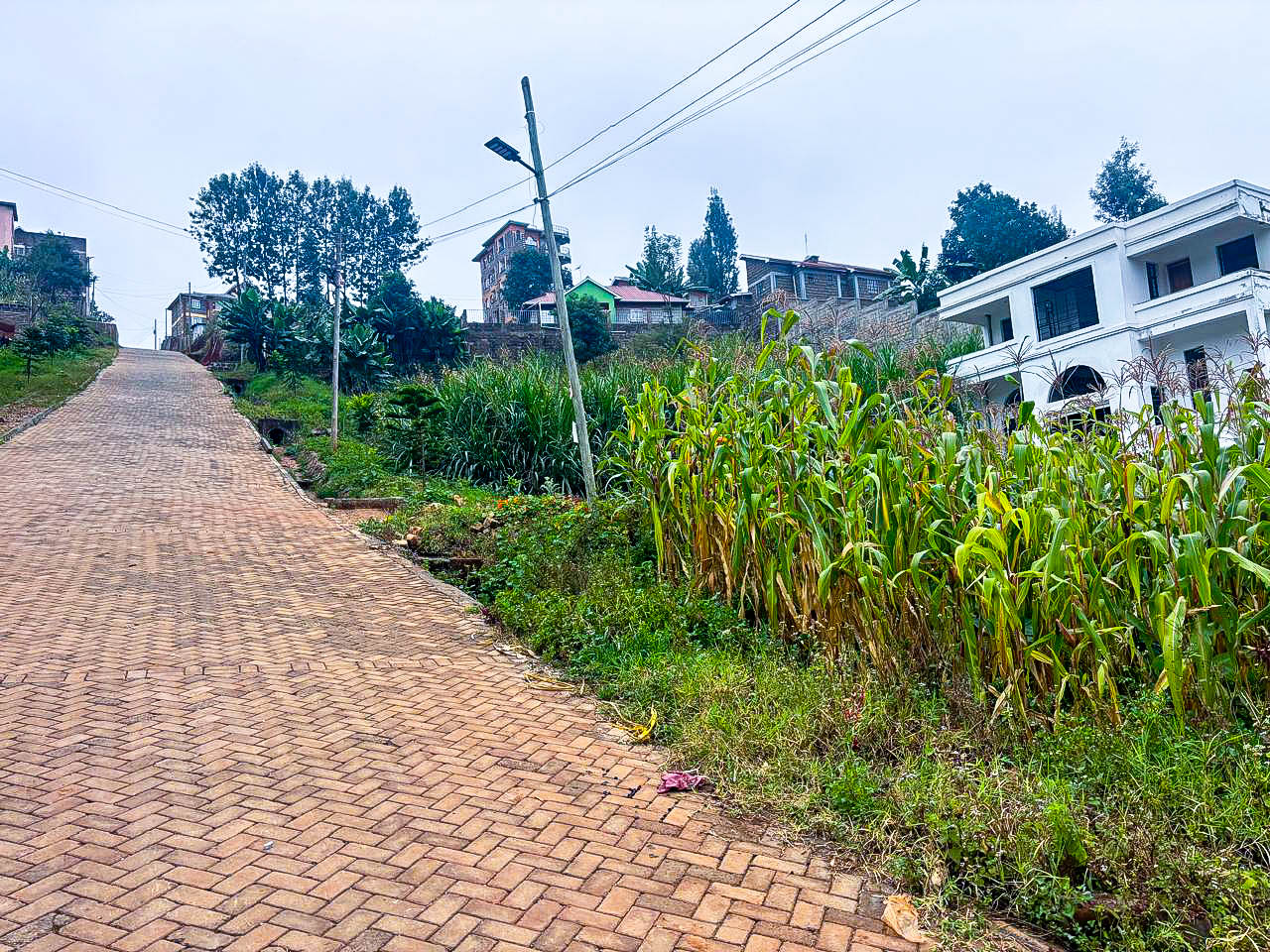 Prime 50×100 Plot For Sale In Kikuyu Kinoo( Muthiga)
