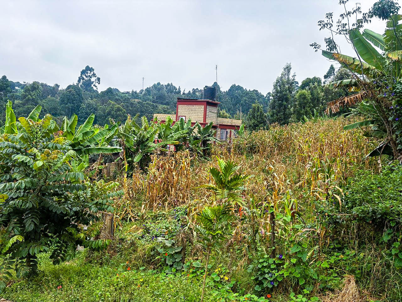 Prime 50×100 Plot for Sale in Kikuyu Kinoo( Muthiga)