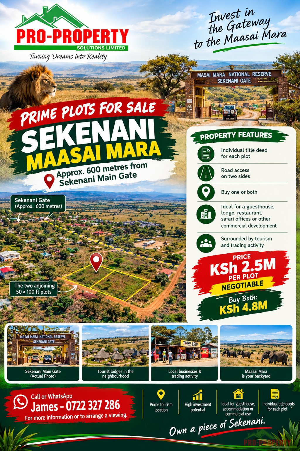 Prime 50x100 Plots For Sale In Sekenani Maasai Mara